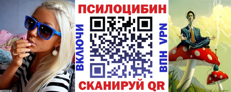 закладки Новоржев Псилоцибиновые грибы Psilocybe