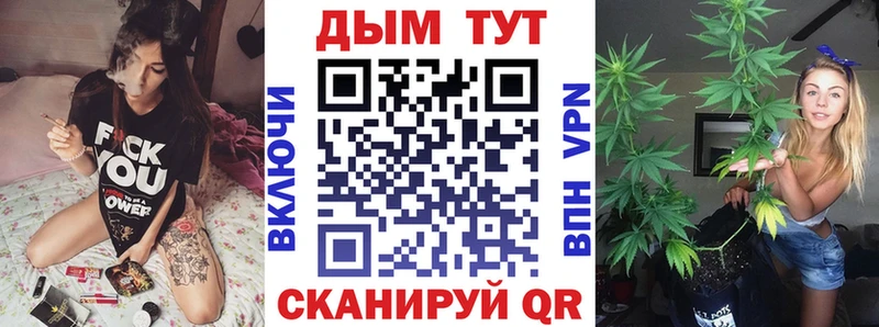 магазин продажи наркотиков  Новоржев  Бошки марихуана THC 21% 